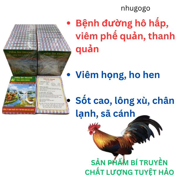 Viêm ôn thanh combo 2 vĩ* 24 viên chuyên đường hô hấp gà