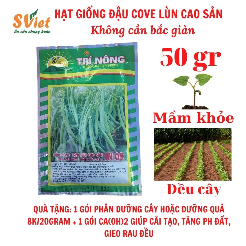 Hạt giống đậu cô ve lùn cao sản Sviet Agri, không cần bắc giàn, nảy mầm khỏe, lên cây đều. Quà tặng 1 gói phân bón lá Israel dưỡng cây/dưỡng quả 20g + 1 gói CA(OH)2