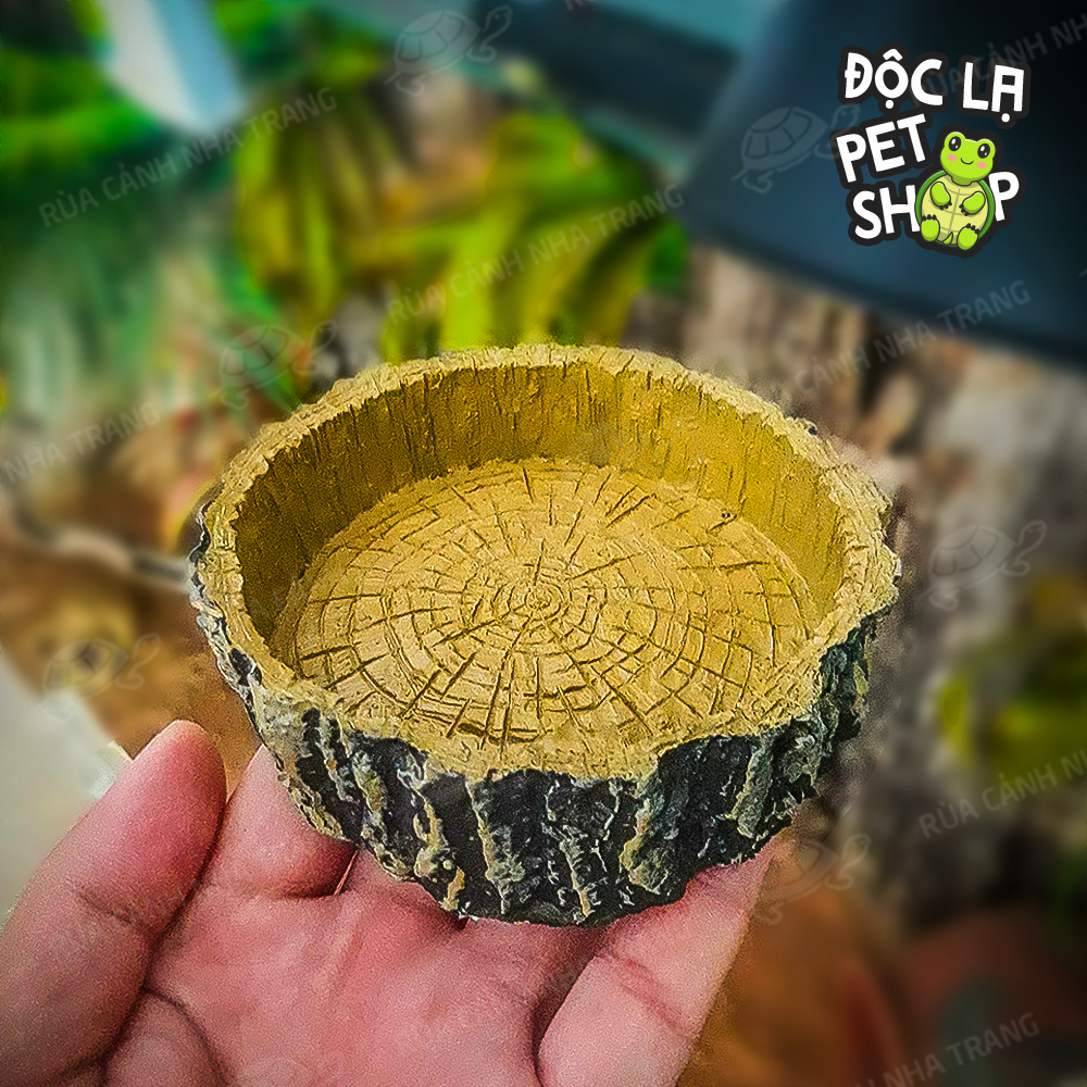 CHÉN NƯỚC CHO RÙA, MÁNG ĂN CHO RÙA THÚ CƯNG NHỎ, DECOR CHUỒNG NUÔI