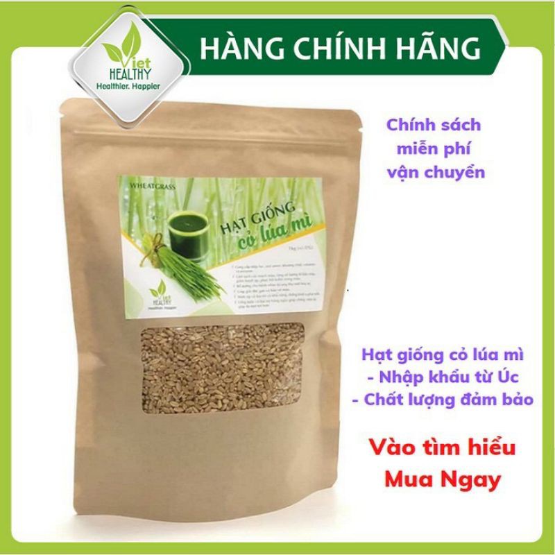 Hạt giống cỏ lúa mì Viethealthy 1 kg
