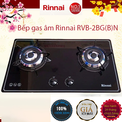 Bếp gas âm rinnai rvb-2bgn chén đồng, ngắt gas tự động