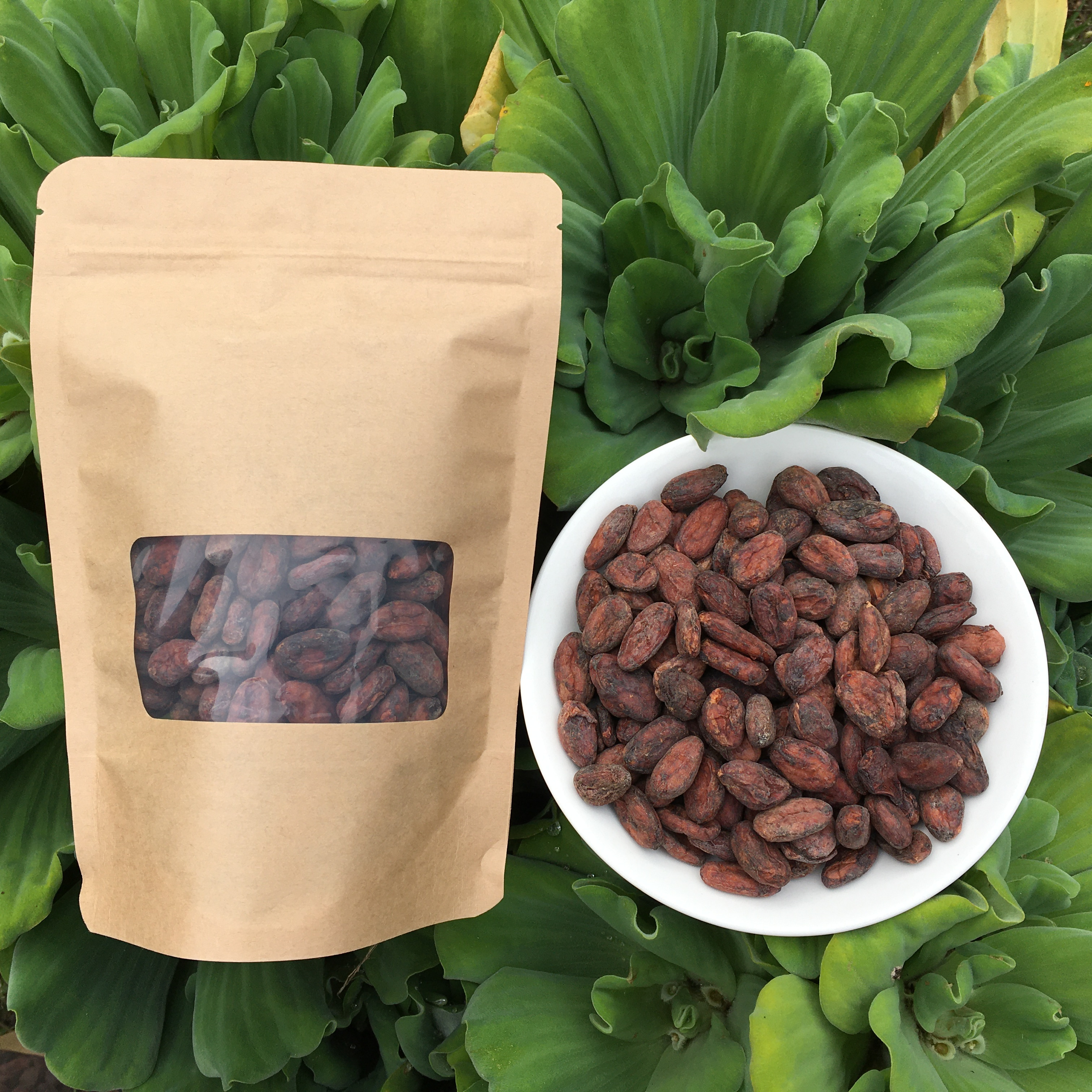 Hạt ca cao lên men , cacao nibs, hạt cacao nguyên bản, giàu dinh dưỡng