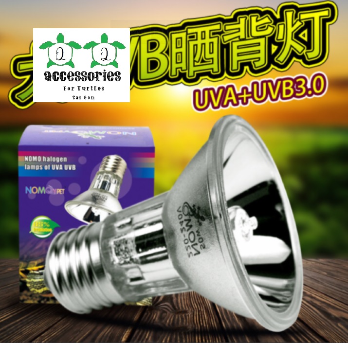 [GIẢM GIÁ] Bóng đèn sưởi uva+uvb nhỏ 75W | Phụ Kiện Rùa Cảnh Sài Gòn