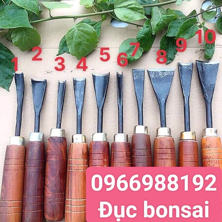 1 cây đục bonsai đục cây cảnh mài sắc hàng cao cấp bán lẻ từng cây hàng rèn thủ công giá rẻ