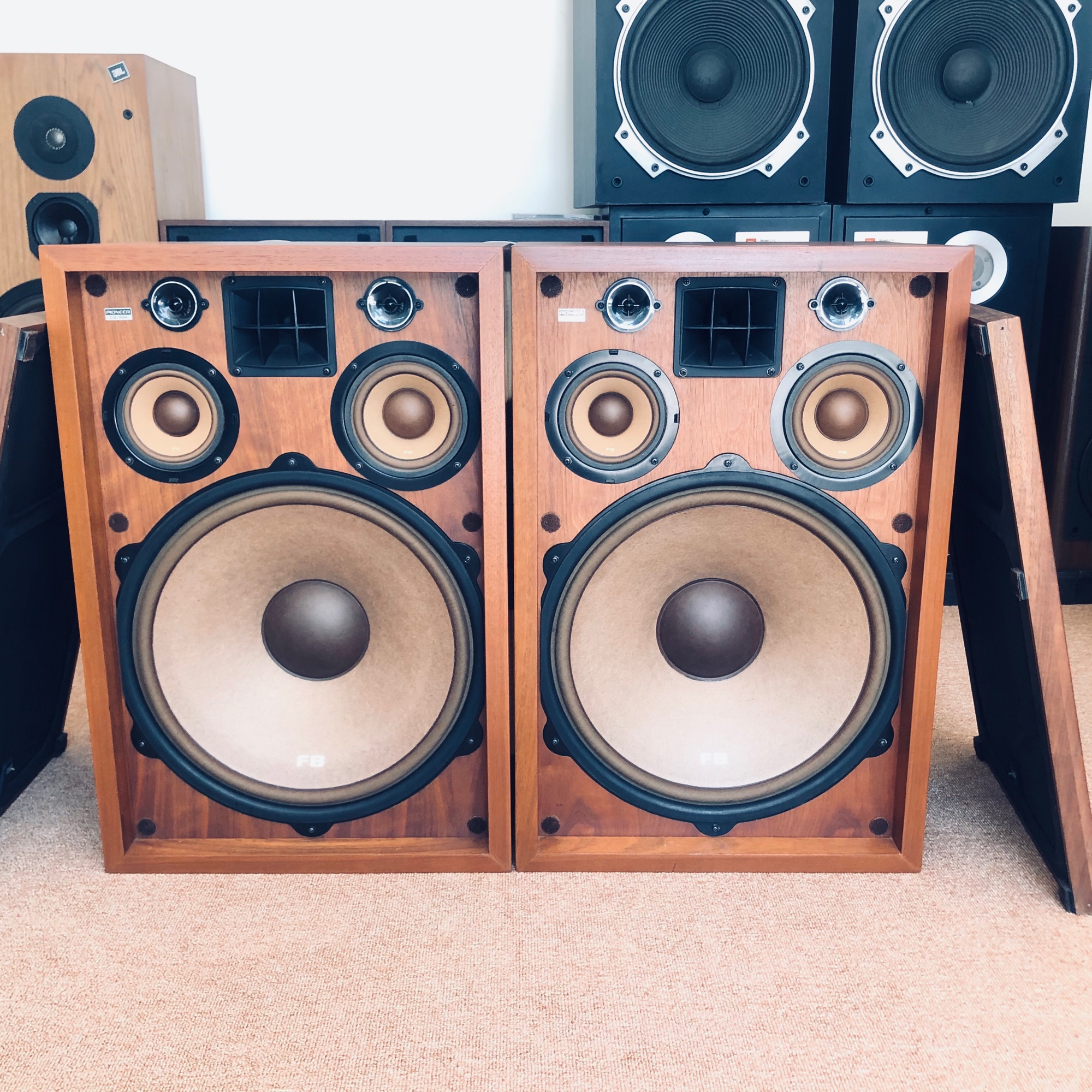 Loa Pioneer cs 99A Fb Hoa hậu