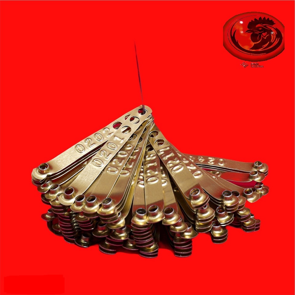 COMBO 50 CHÌ CHÂN đánh dấu bổn bang gà