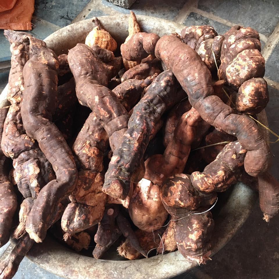 Hà thủ ô đỏ khô 1kg
