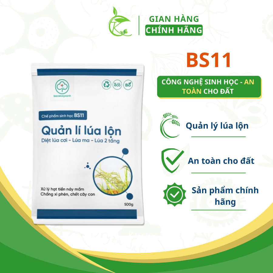Chế phẩm sinh học BS11 xử lý lúa lộn, lúa cơi, lúa ma, lúa 2 tầng, chống xì phèn, chết cây con - Gói 500g