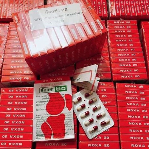 Sỉ 1 lố 12 hộp Viên uống viêm khớp Gout Noxa 20 Piroxicam Thái Lan
