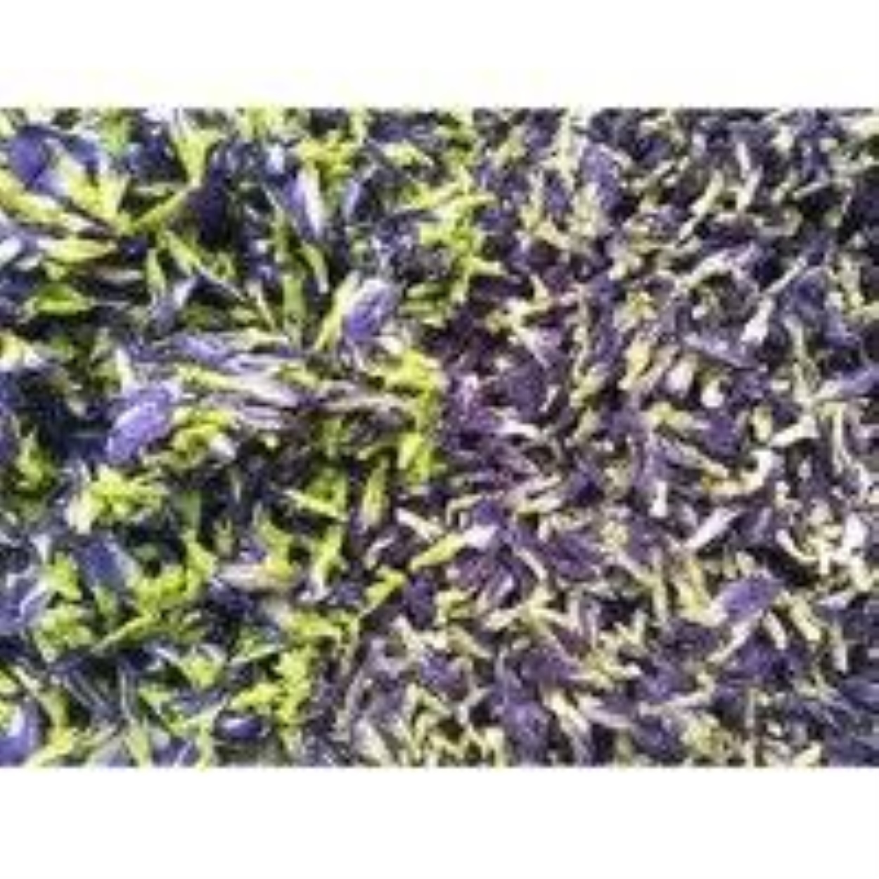 HOT SALE 200g hoa đậu biếc