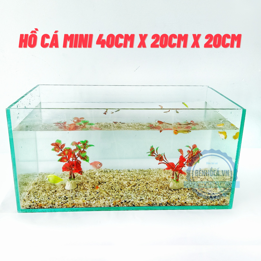 Bể cá mini để bàn để bàn làm việc