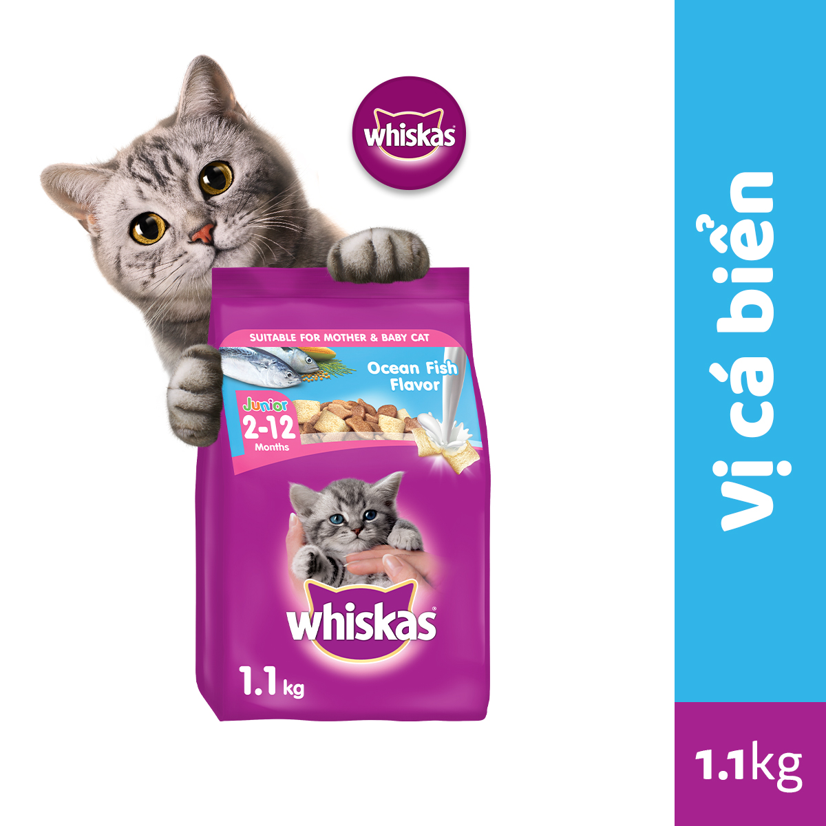 Thức Ăn Hạt Cho Mèo Con WHISKAS 1.1kg