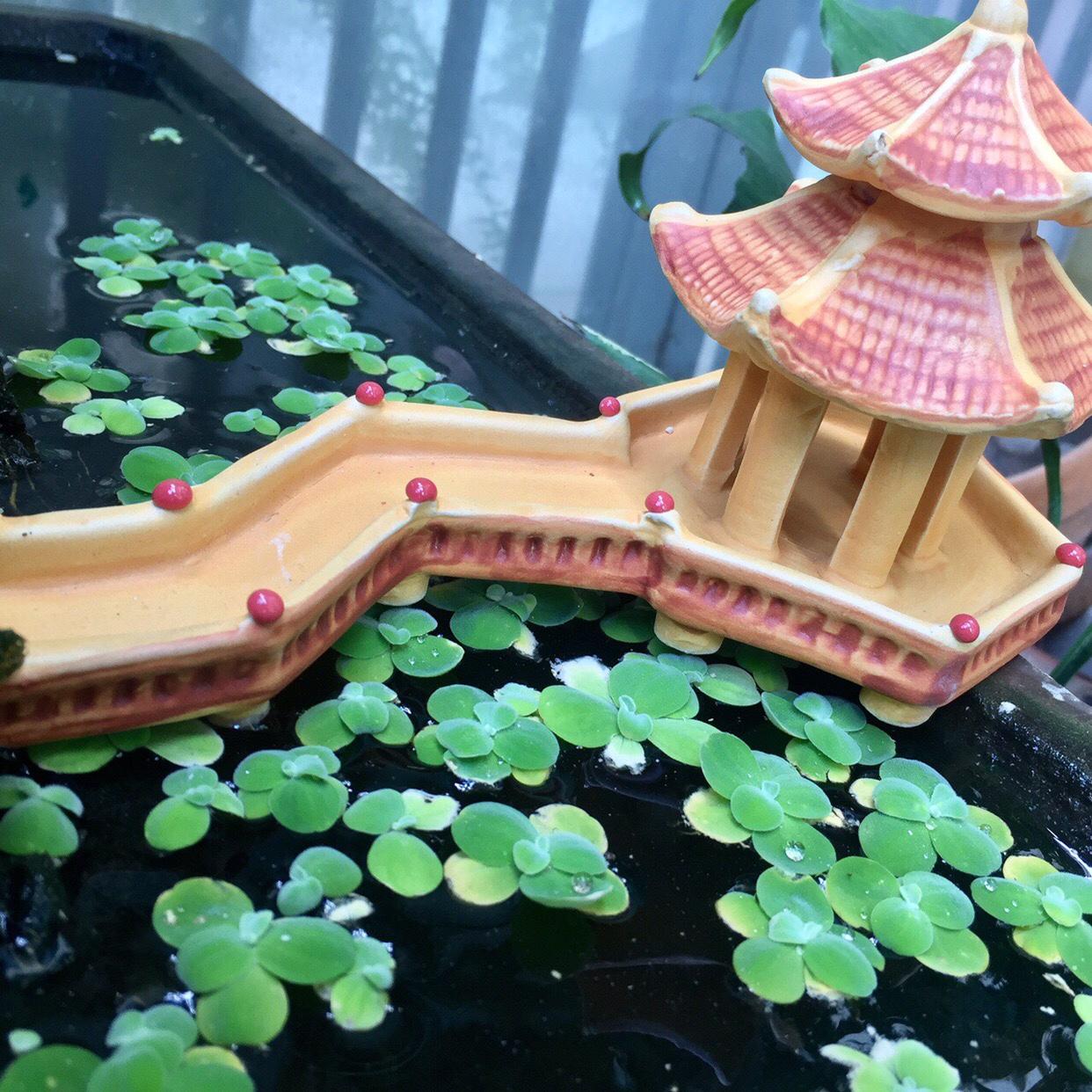 Ngôi Đền Có Cầu Dài Vàng Nhạt Trang Trí Hồ Cá, Bể Cá-Hòn Non Bộ