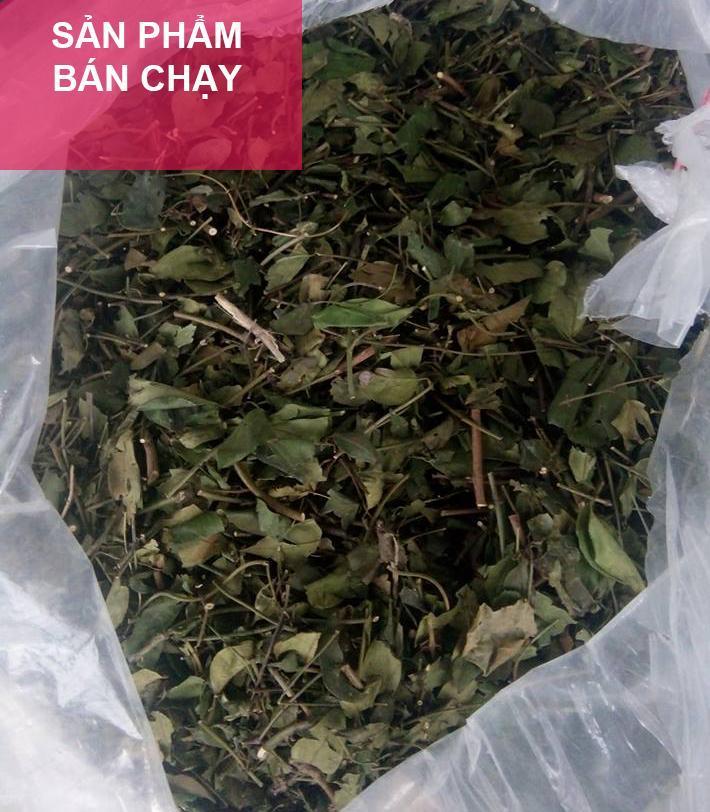 [HCM]Chè vằng sẻ lá nhỏ - Giảm cân lợi sữa