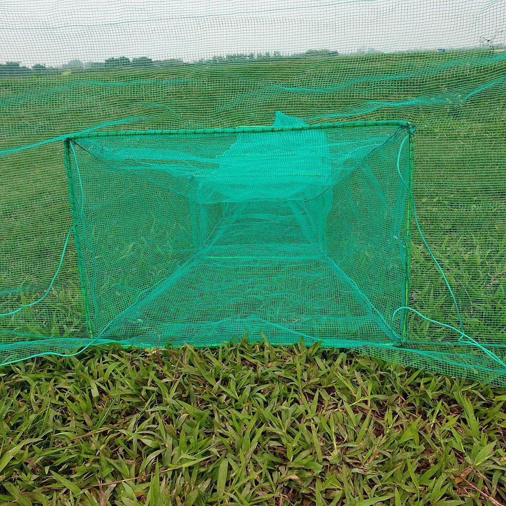 Đăng chặn sông, cống - bắt tôm tép tất cả các loại cá - Dớn bắt cá, cua, lươn