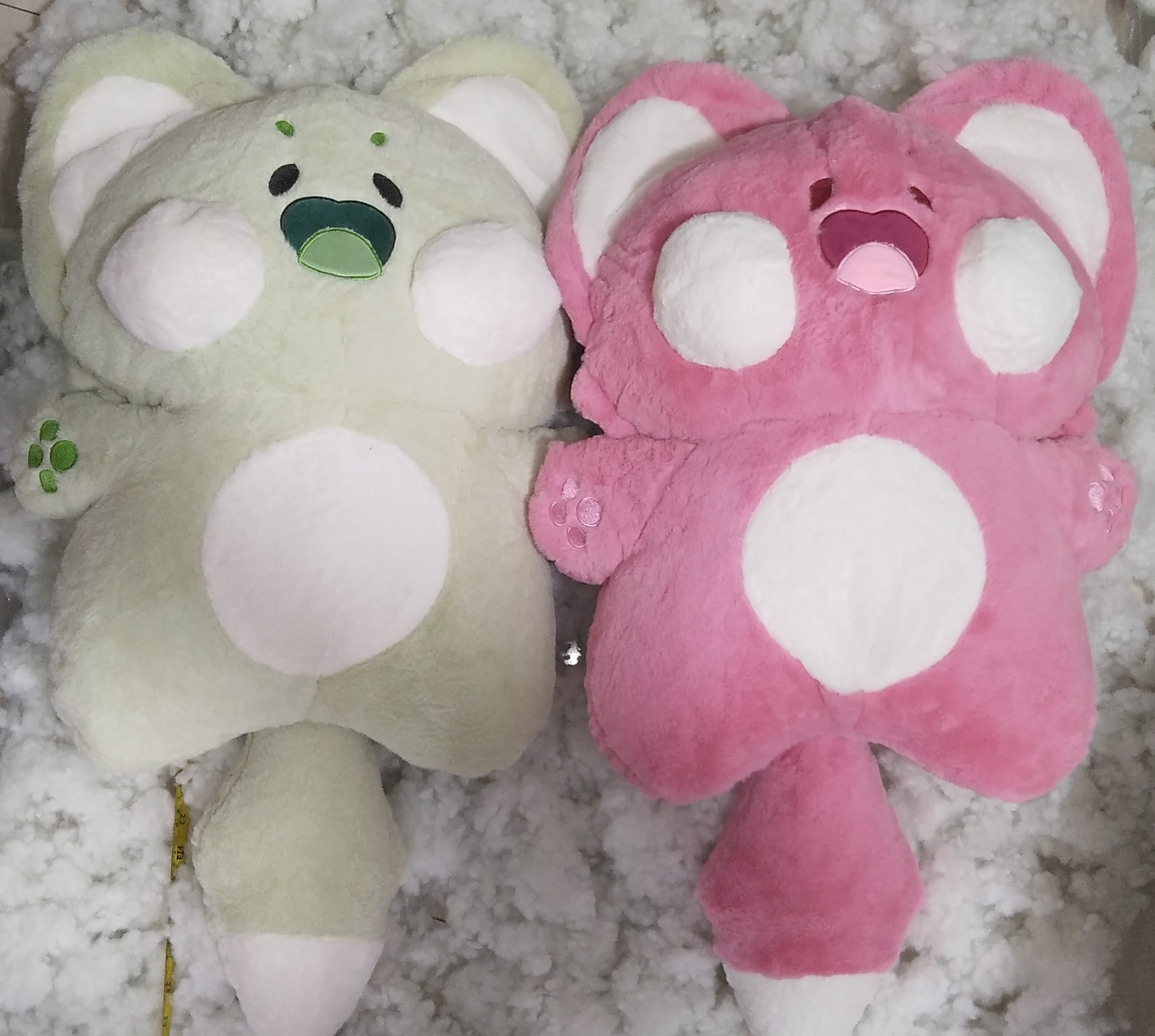 Mèo dudu mèo doodle siêu dễ thương