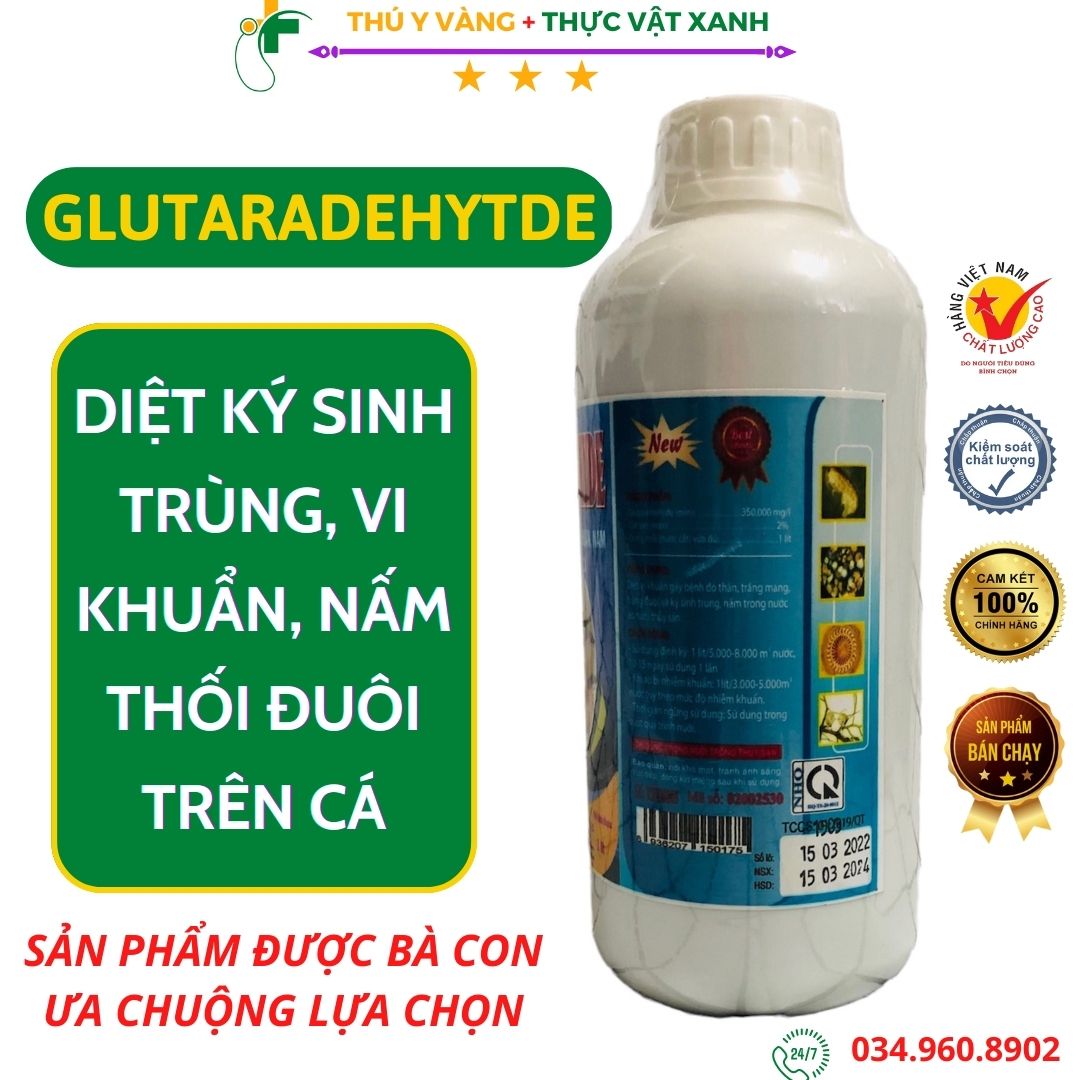Diệt khuẩn glutaraldehyte xử lý nấm ký sinh trùng thối đuôi trên cá, trong nước