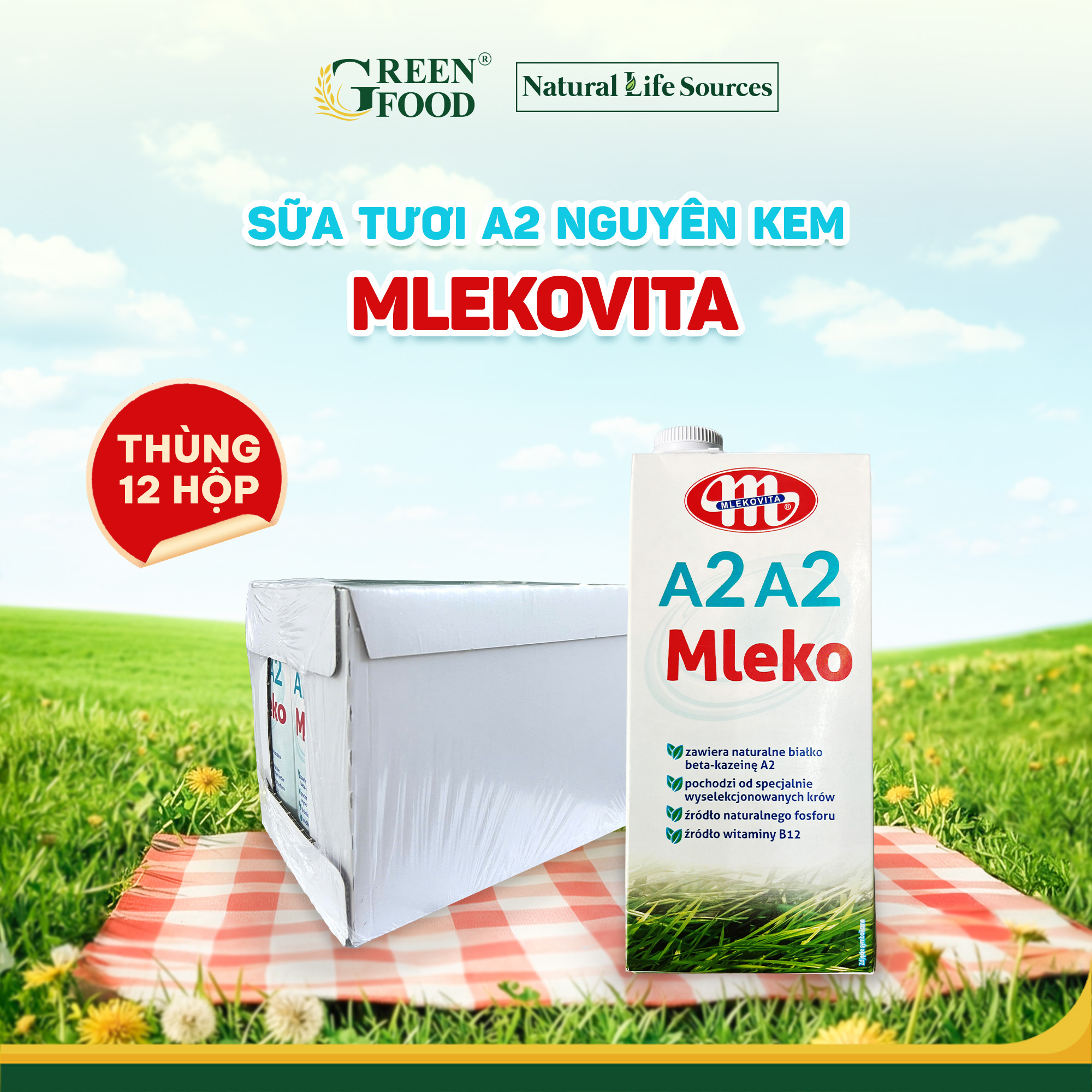 Thùng 12 Hộp Sữa Tươi Mlekovita A2A2 Nguyên Kem Cao Cấp - Hộp 1L nhập khẩu Ba Lan, Độ Béo Cao 3.8 Dễ Tiêu Hóa Giàu Đạm và Canxi