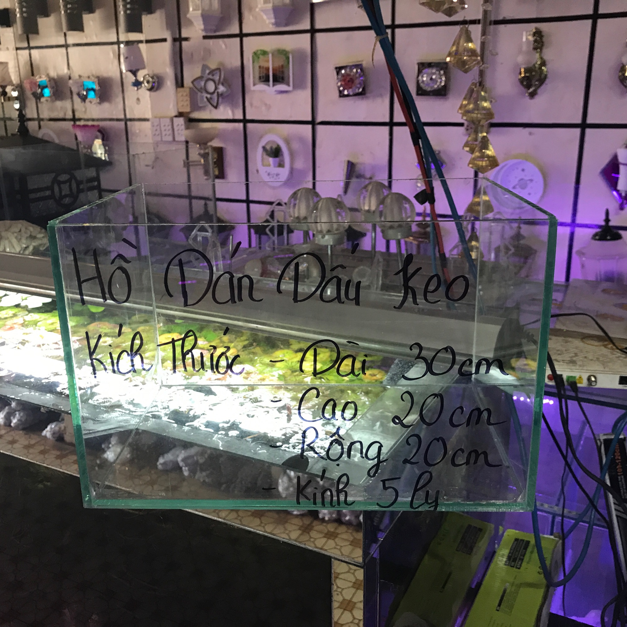 [FreeshipMAX] { RẺ VÔ ĐỊCH} bể cá .hồ cá cảnh .hồ đúc dài 30cm .hồ thuỷ sinh an toàn sử dụng