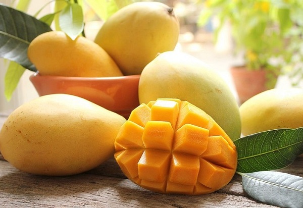 Xoài cát hòa lộc cao lãnh - foodmap fruits - túi 1kg