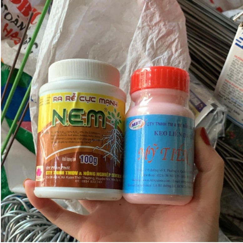 COMBO 1 LỌ KÍCH RỄ NEM VÀ 1 LỌ KEO LIỀN DA MỸ TIẾN - DỄ DÀNG SỬ DỤNG