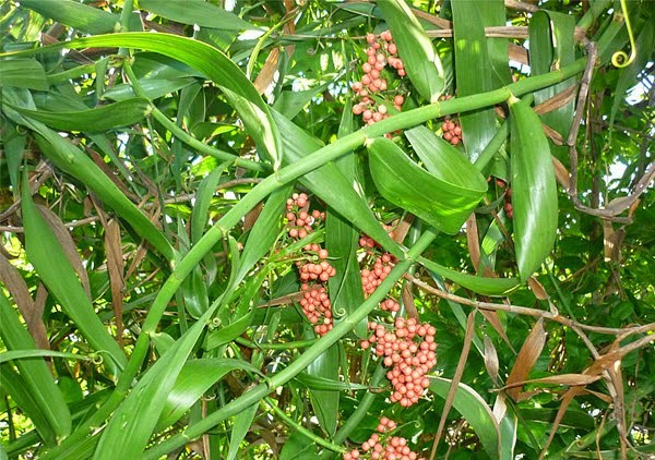 x4JTtgpjyhBYcG6BaX2I_simg_d0daf0_800x1200_max.jpg