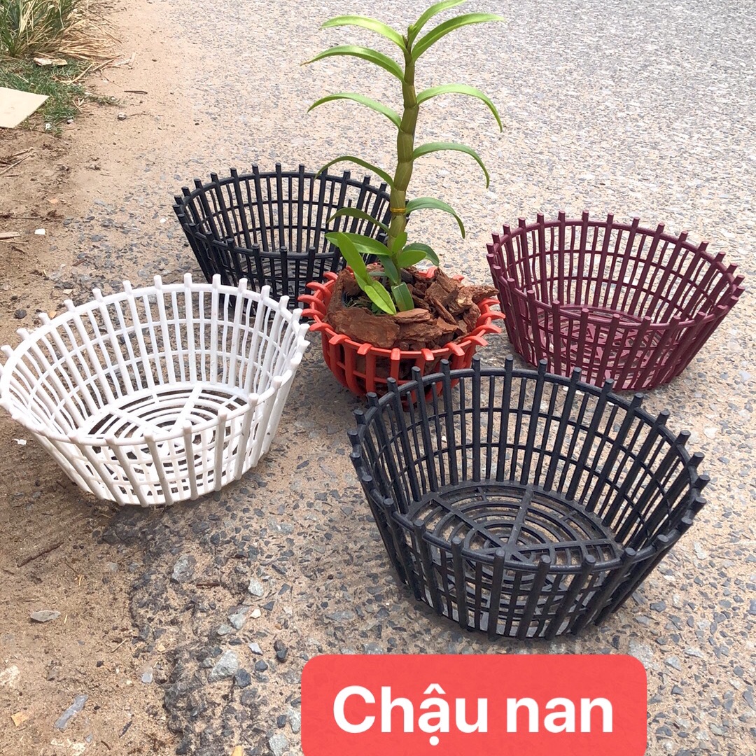 Chậu nan trồng lan