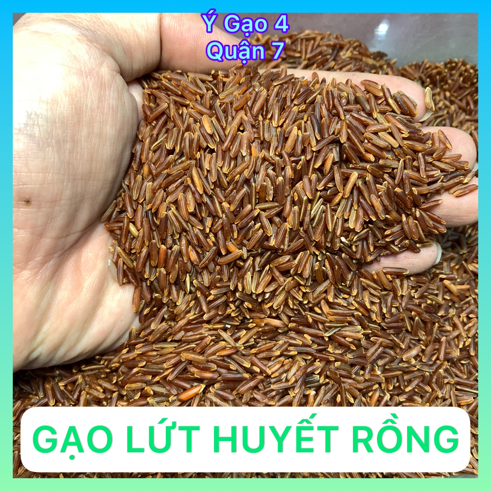 Gạo Lứt Huyết Rồng hút chân không túi 1Kg - Tốt cho người béo phì, bệnh tiểu đường, ăn kiêng - Hạt màu nâu đỏ, nhân màu trắng - Ý Gạo 4 Quận 7