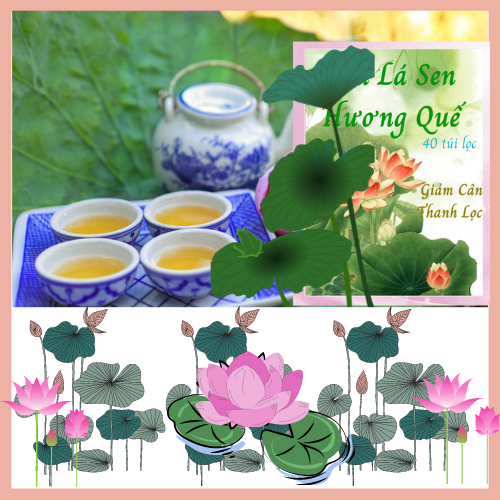 TRÀ LÁ SEN HƯƠNG QUẾ -40 túi lọc,  Giảm cân, Giảm Mỡ Máu, Thanh Lọc Cơ Thể , Trà Đông Y Việt