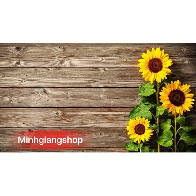 Hàng mới về- Thảm chụp ảnh 3D view 3 hoa hướng dương to