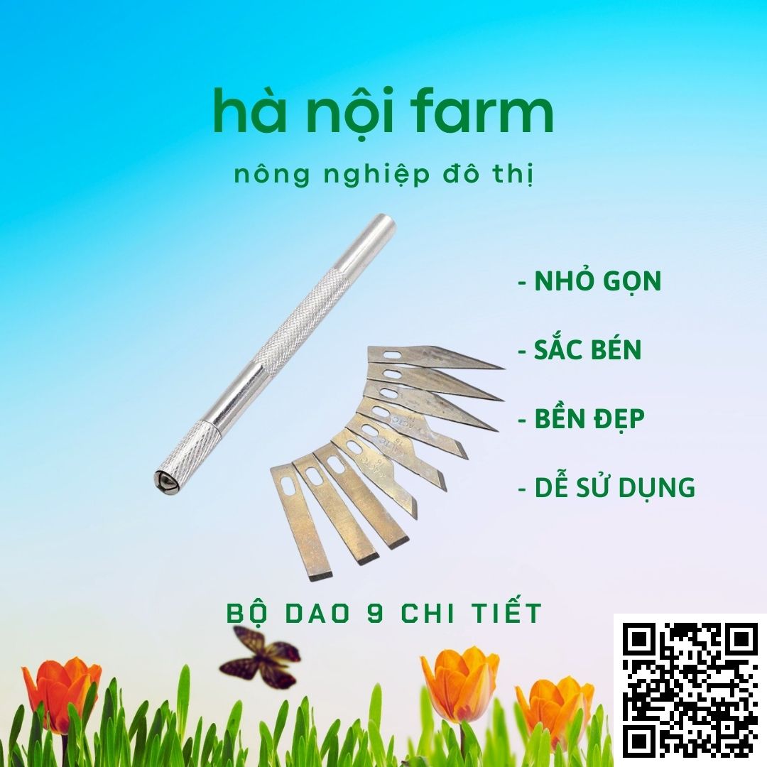 Bộ dao 9món trổ + lưỡi dao tách kie, cắt tỉa cây hoa cảnh