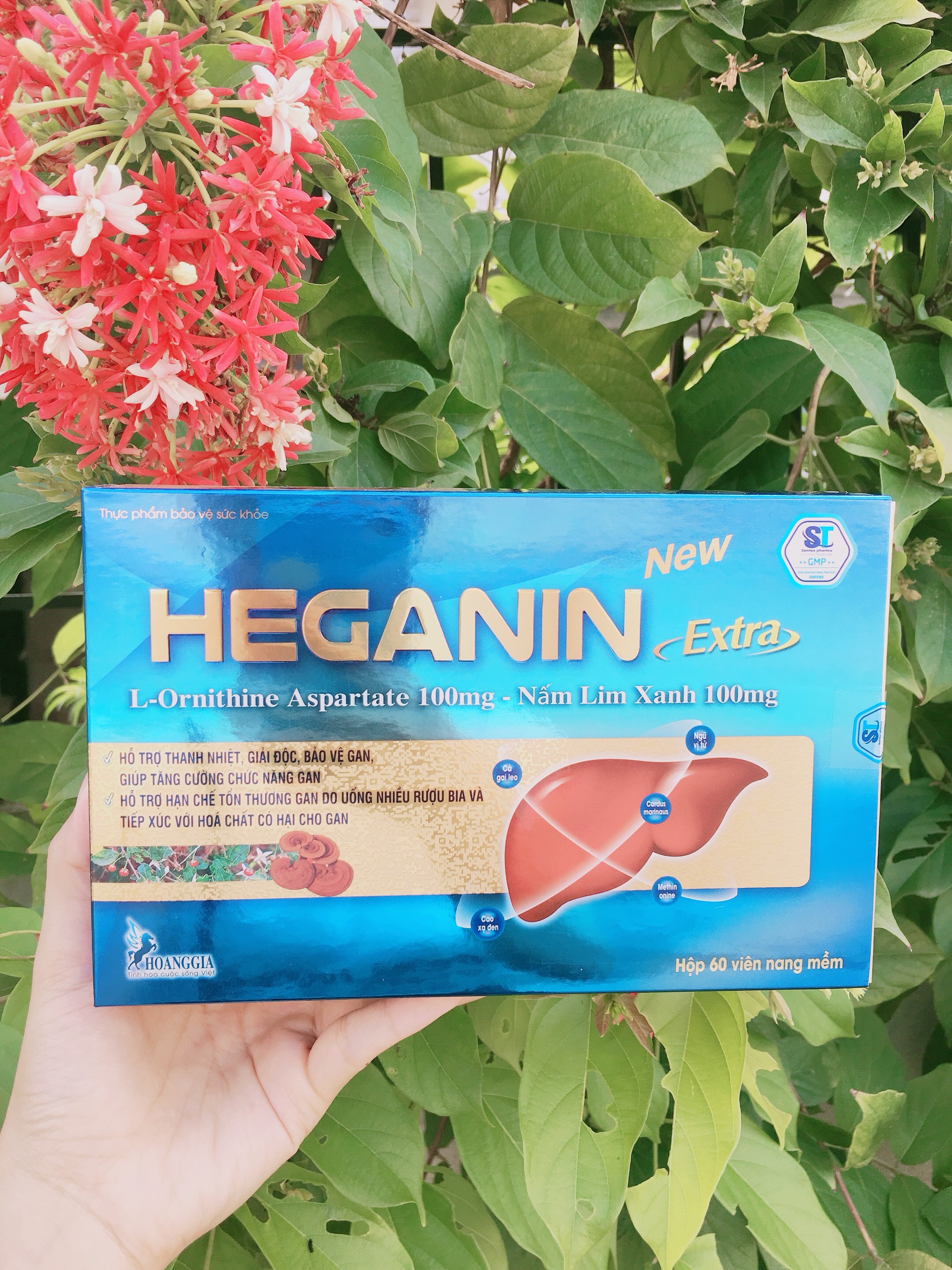 Viên bổ gan Hepagin Extra