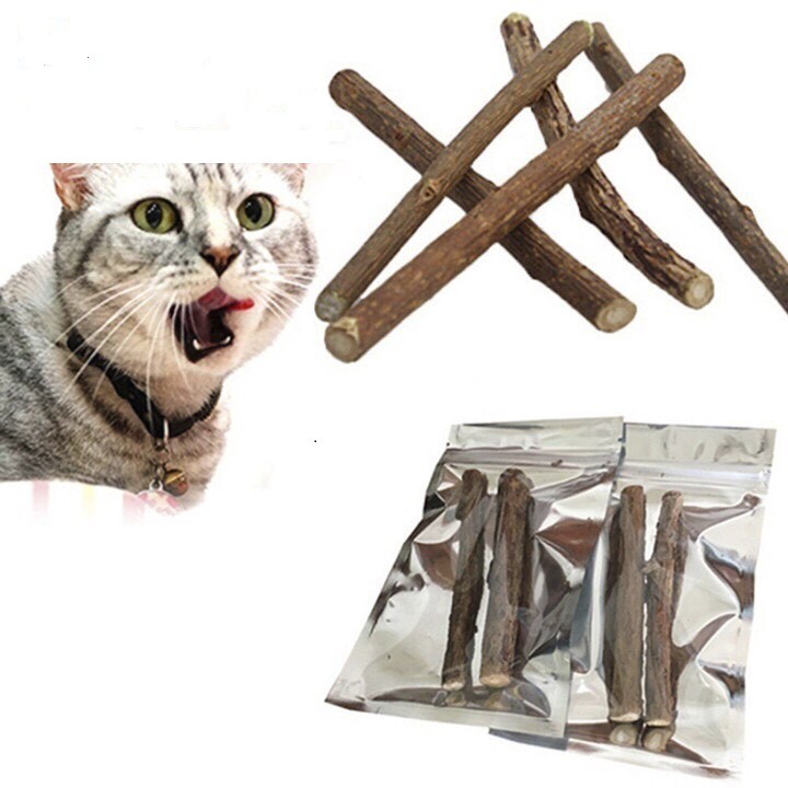 2 Cây Gỗ Catnip Bạc Hà Cho Mèo Gặm Trắng Răng
