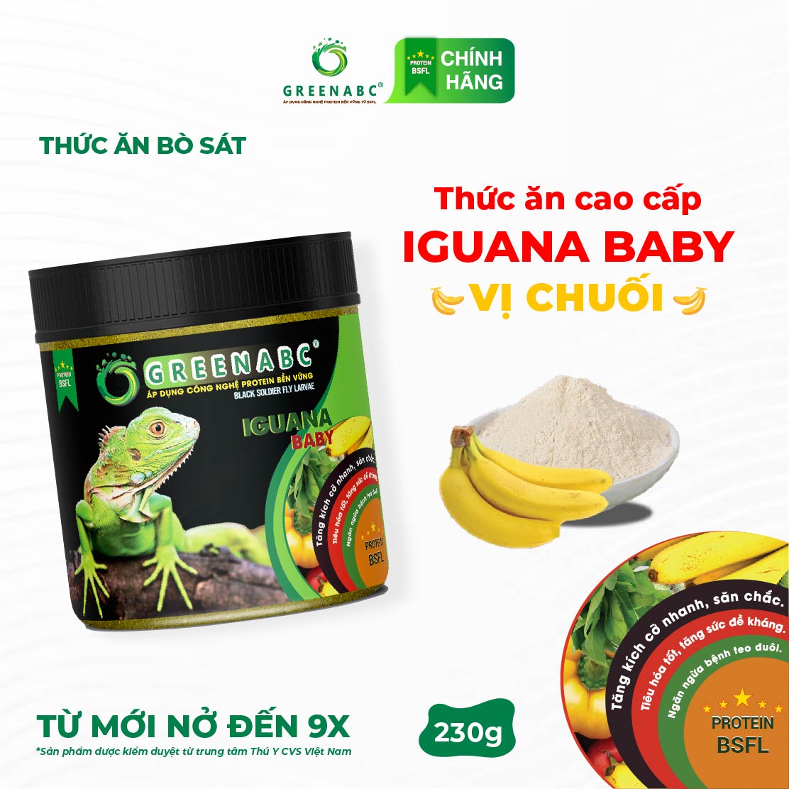 Thức ăn IGUANA BABY Vị Chuối GREENABC. Dành cho Igu từ mới nở cho đến 9x, tăng size, màu đẹp – Hộp 230g