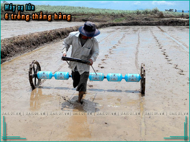 Máy sạ lúa kéo tay 6 trống
