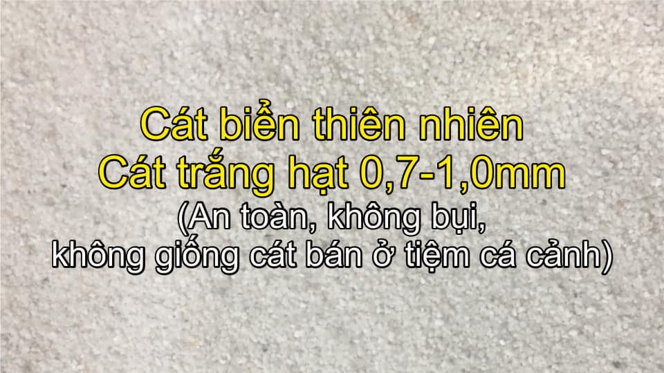 3kg cát biển - cát biển trắng tự nhiên - cát nuôi ốc mượn hồn