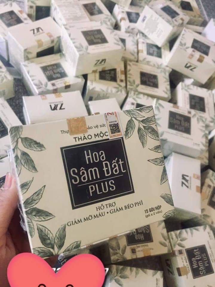 Combo 2 hộp Hoa Sâm Đất Plus viên