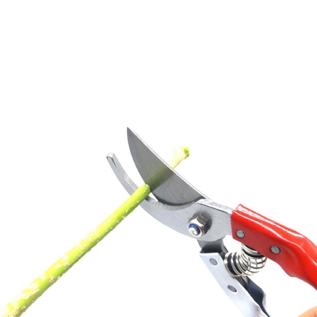 Kéo cắt cành SK5 cán đỏ trắng Hàng Đài Loan