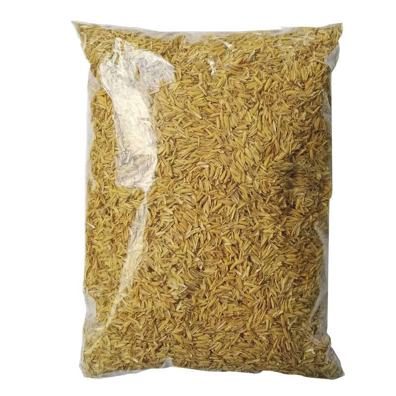 Trấu sống - giá thể trồng cây