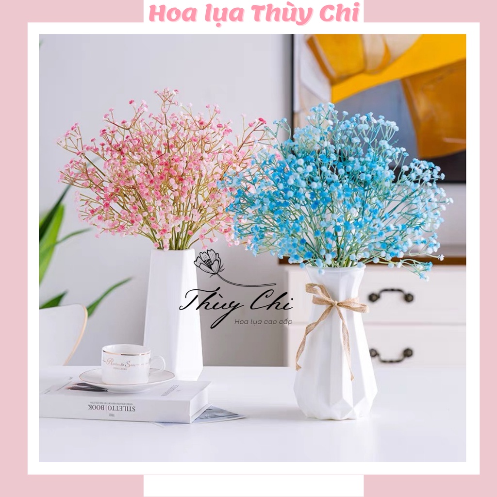 HOA SấY KHô Baby giá rẻ Tháng 7,2024|BigGo Việt Nam