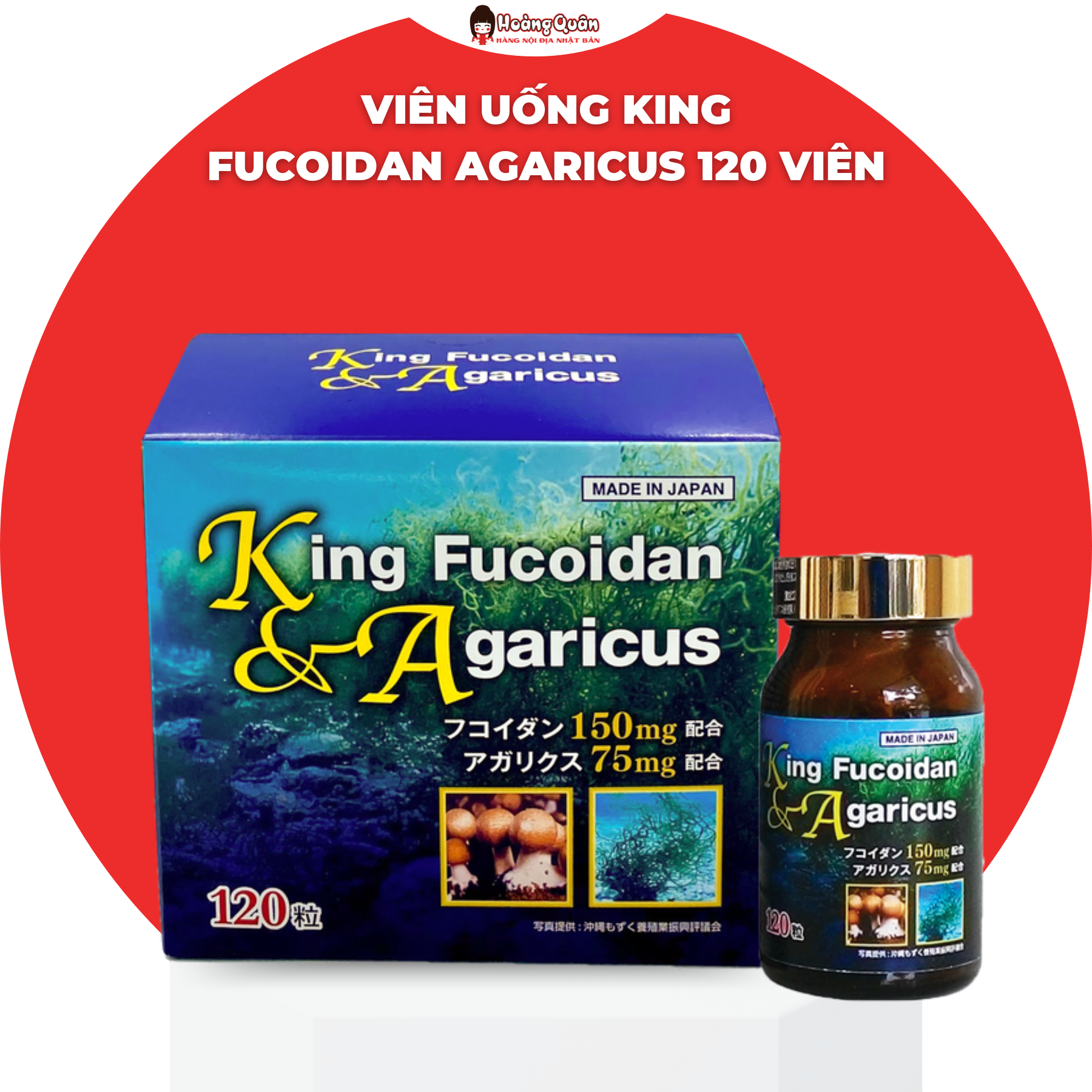 Viên Uống King Fucoidan Agaricus 120 Viên Tăng Cường Sức Đề Kháng Nhật bản