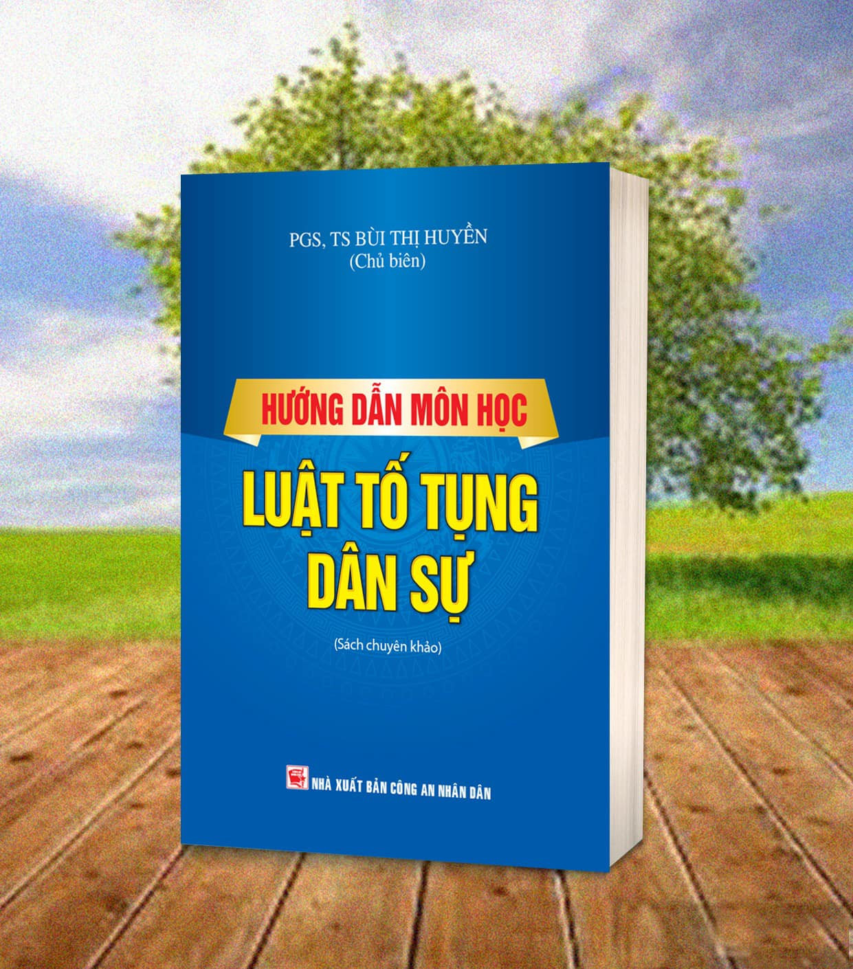 Sách Hướng dẫn môn học Luật tố tụng Dân Sự
