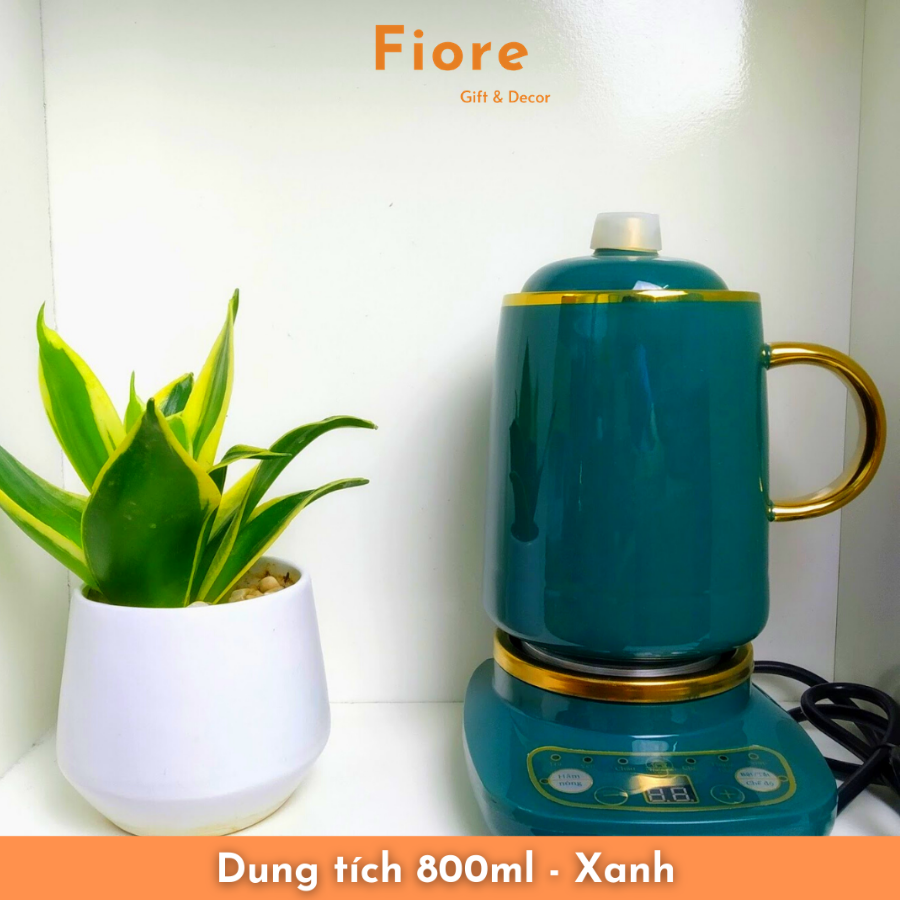 Thố chưng yến tiếng Việt màu xanh cổ vịt cốc pha trà chính hãng Holame Store bảo hành 12 tháng