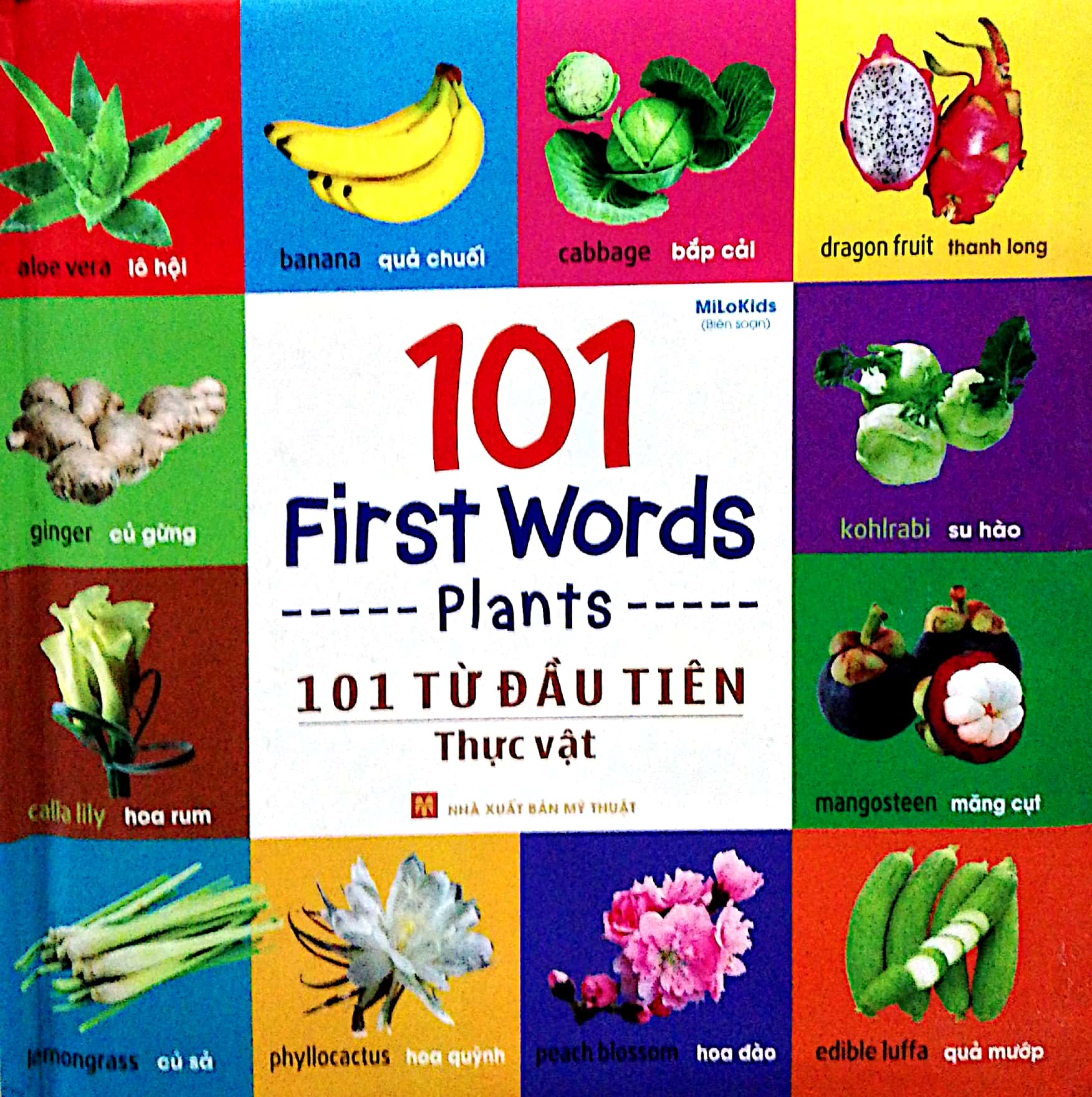 Fahasa - 101 first words - plants / 101 từ đầu tiên - thực vật