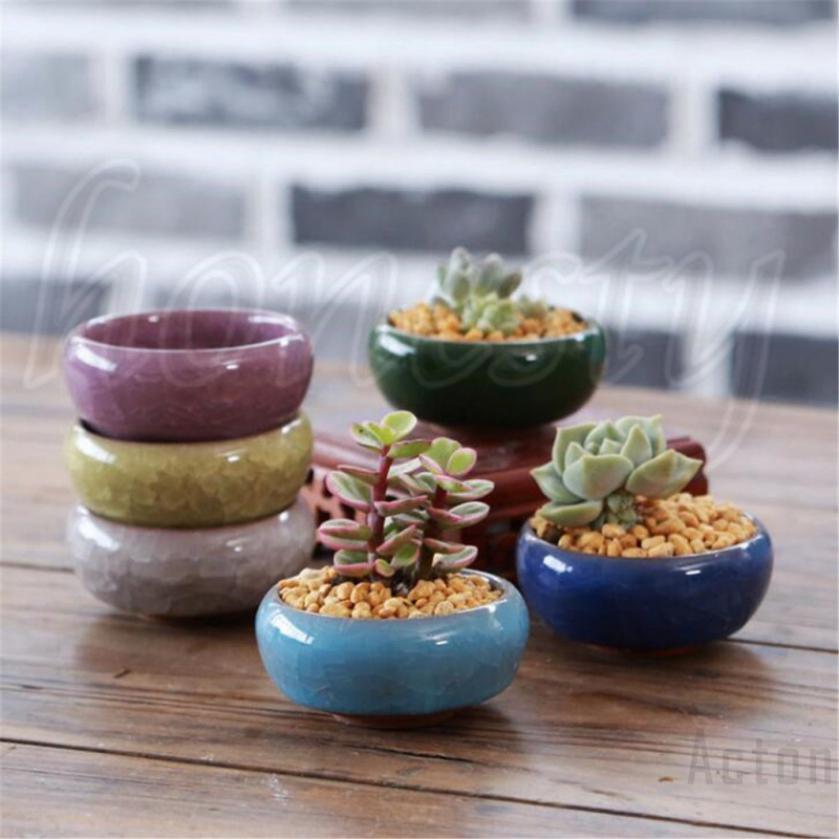 Chậu cây mini bằng gốm sứ siêu cưng dành cho các tín đồ trồng sen đá- Giao màu ngẫu nhiên như hình