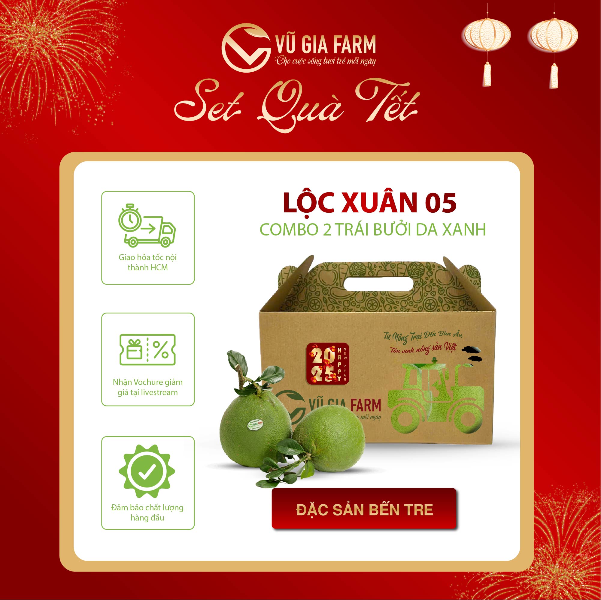 [GIỎ QUÀ] LỘC XUÂN 05 COMBO 2 Trái Bưởi Da Xanh - Đặc sản Bến Tre