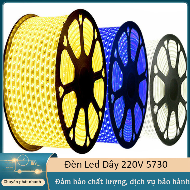 Combo 10 mét Đèn Led Dây 5730 led đôi ánh sáng trắng, xanh dương hoặc xanh lá （Với nguồn điện LED）