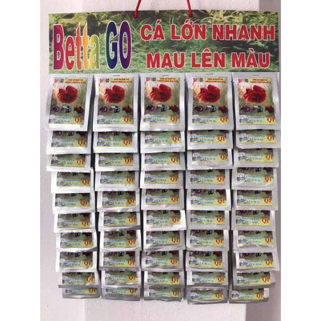 CÁM CÁ ĐÁ BETTA GO , CÁM CÁ BETTA , THỨC ĂN CHO CÁ BETTA