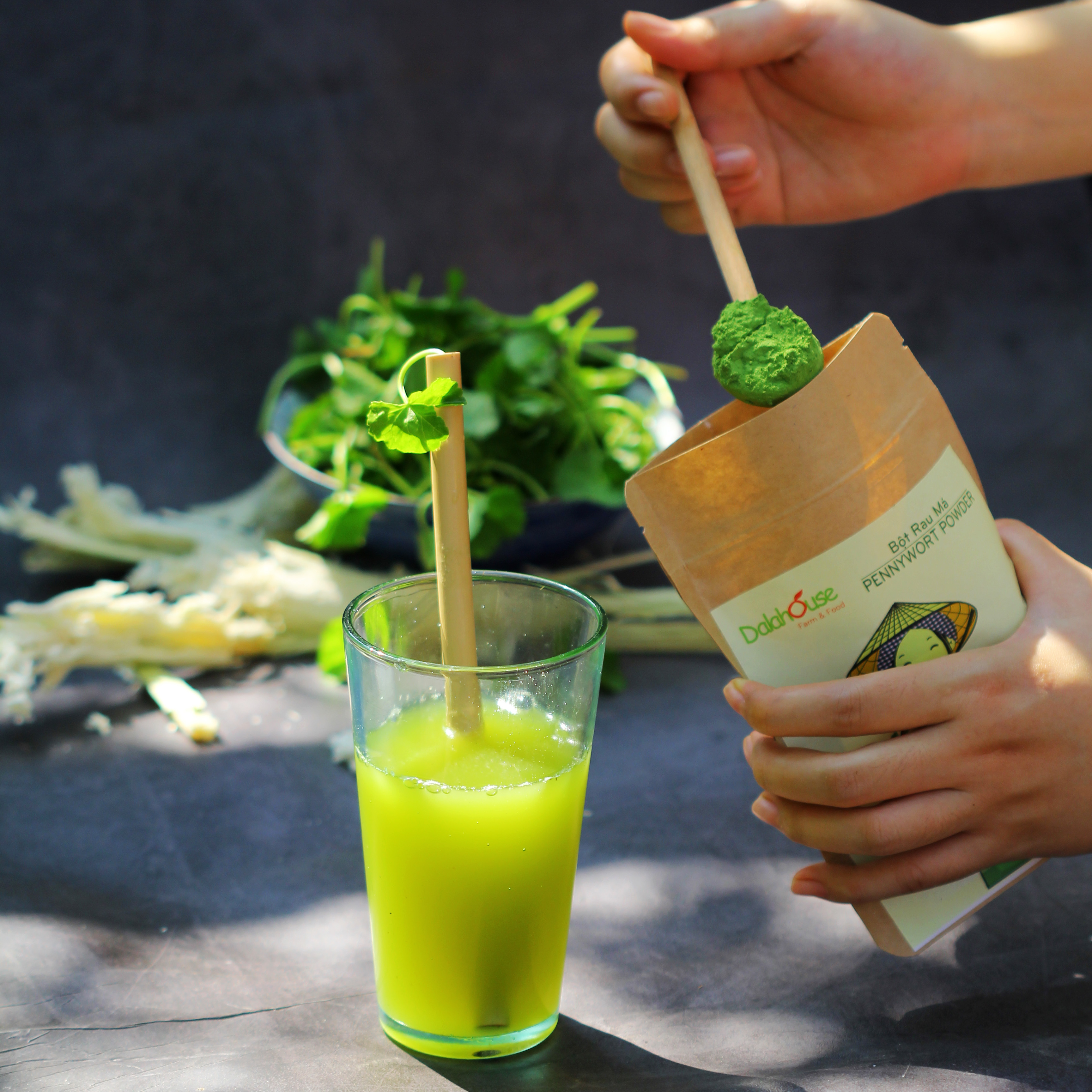 Bột rau má hữu cơ sấy lạnh uống liền Dalahouse Hộp 120gr tương đương 40 lần sử dụng - Mát gan, thanh nhiệt, thải độc, giảm mụn