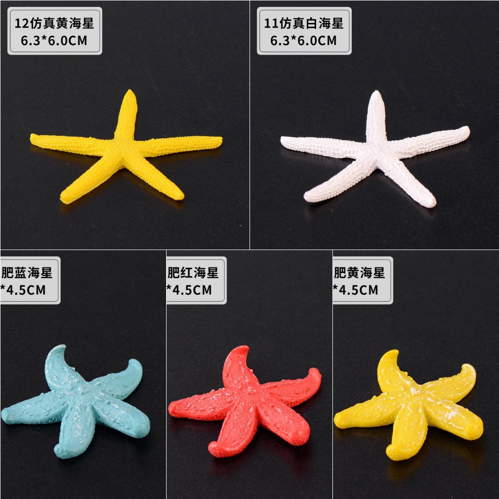 Sao biển trang trí ❤️ freeship ❤️ sao biển trang trí bể cá - tiểu cảnh bể cá